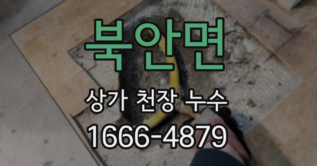 북안면 상가 천장 누수
