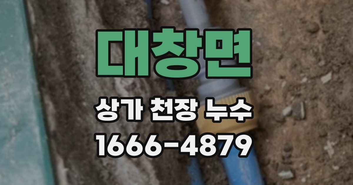 대창면 상가 천장 누수