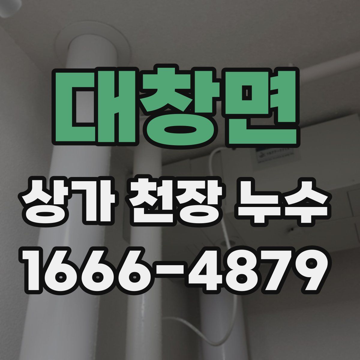 대창면 상가 천장 누수