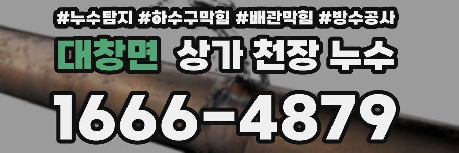 대창면 상가 천장 누수