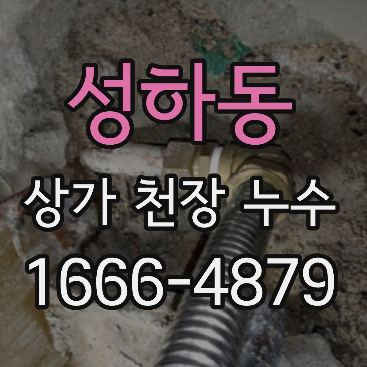 성하동 상가 천장 누수