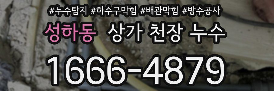 성하동 상가 천장 누수