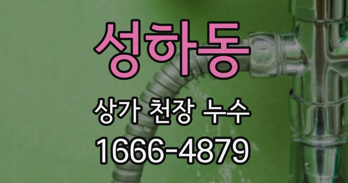 성하동 상가 천장 누수