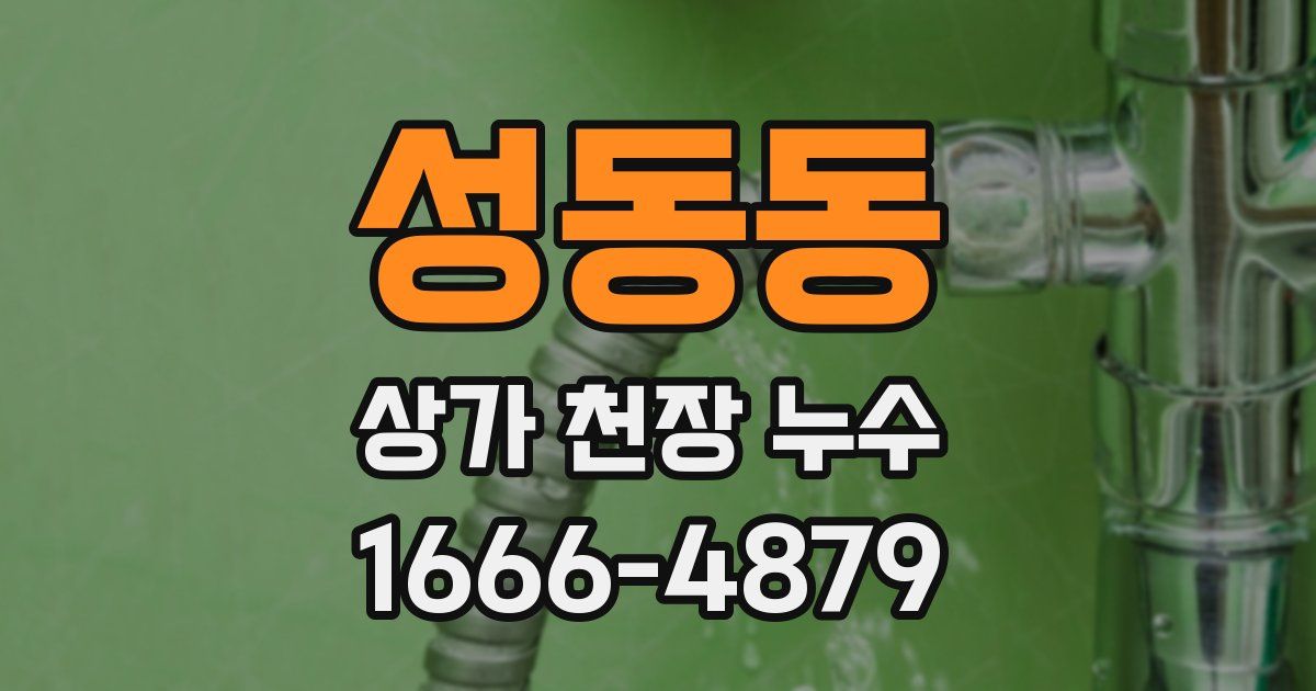 성동동 상가 천장 누수