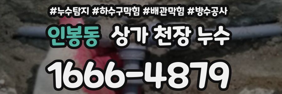 인봉동 상가 천장 누수