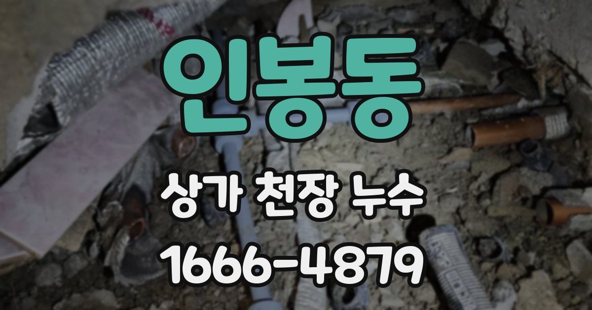 인봉동 상가 천장 누수