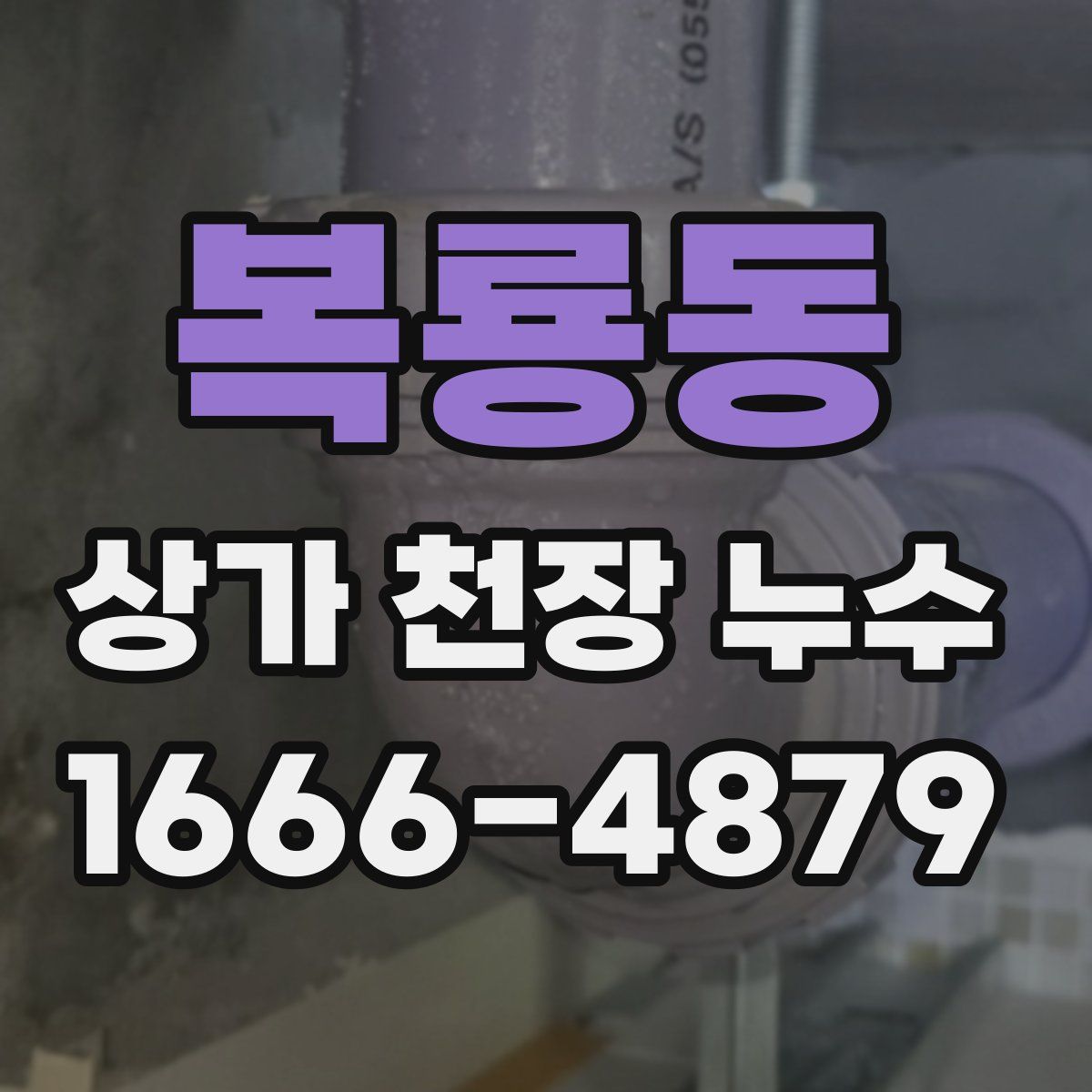 복룡동 상가 천장 누수