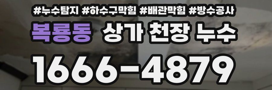 복룡동 상가 천장 누수
