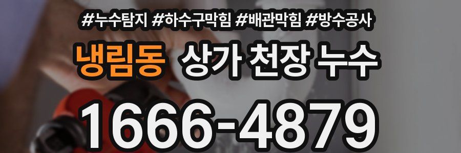 냉림동 상가 천장 누수