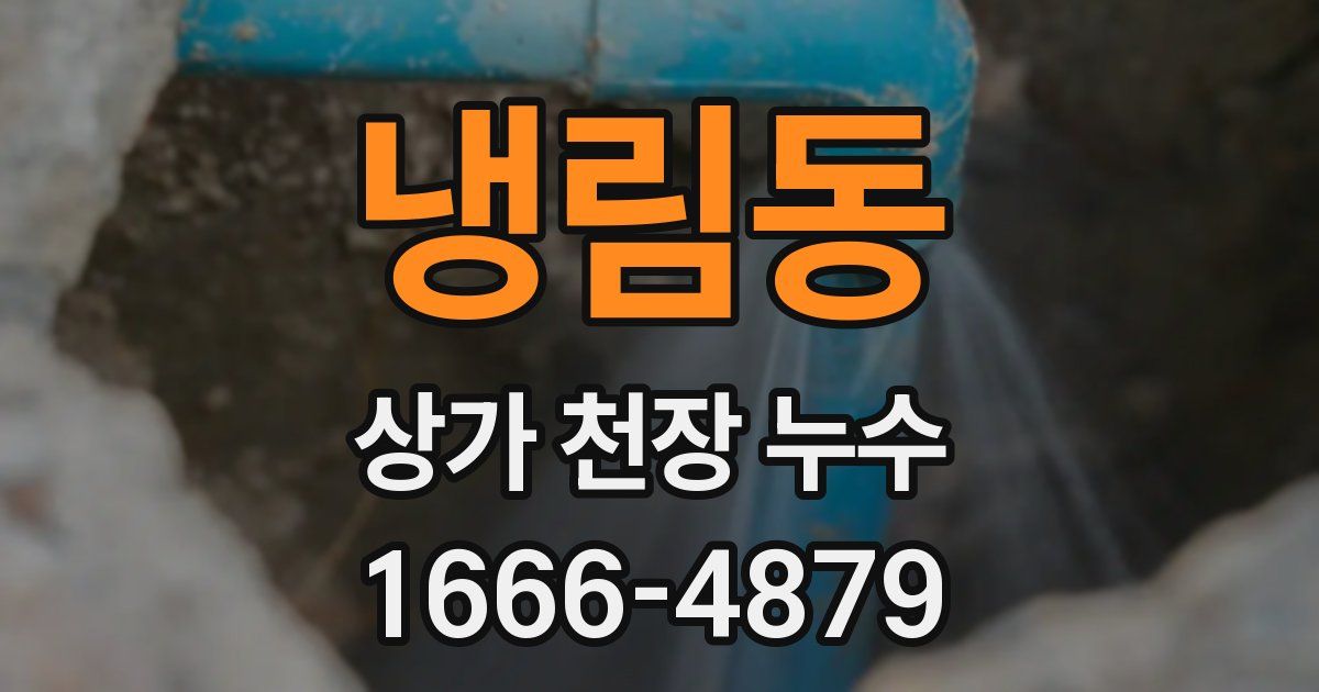 냉림동 상가 천장 누수