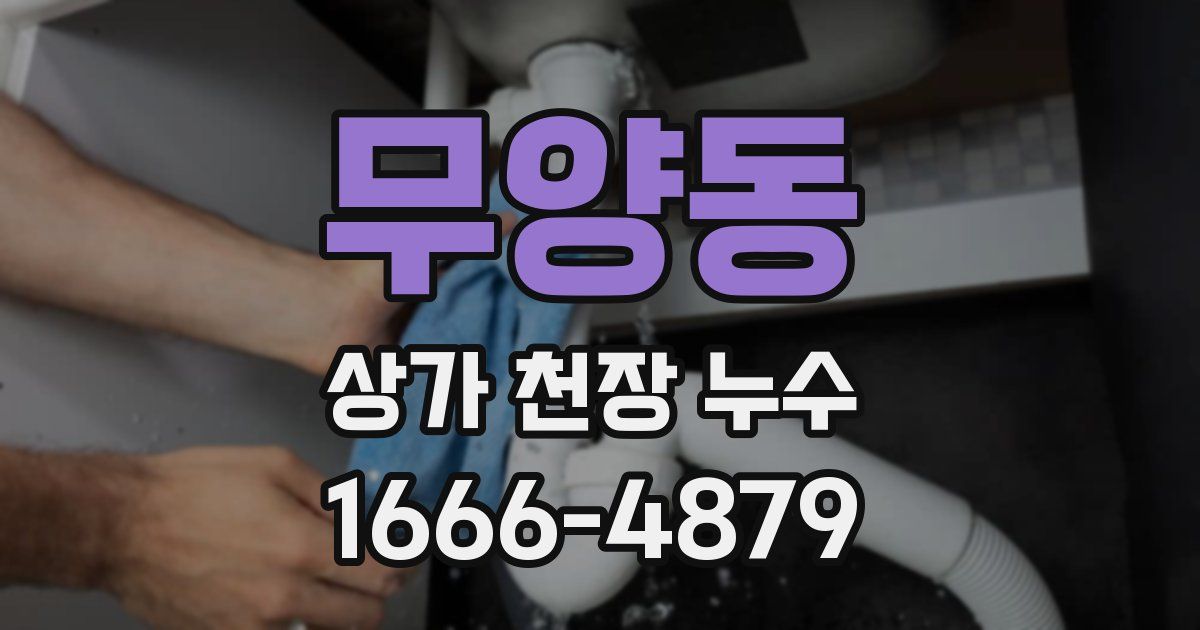 무양동 상가 천장 누수
