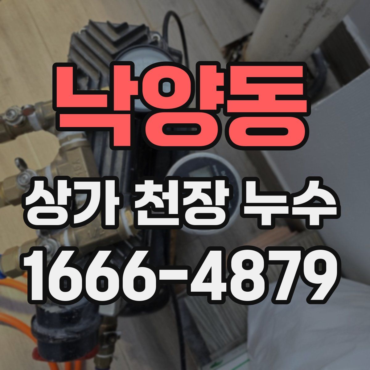 낙양동 상가 천장 누수
