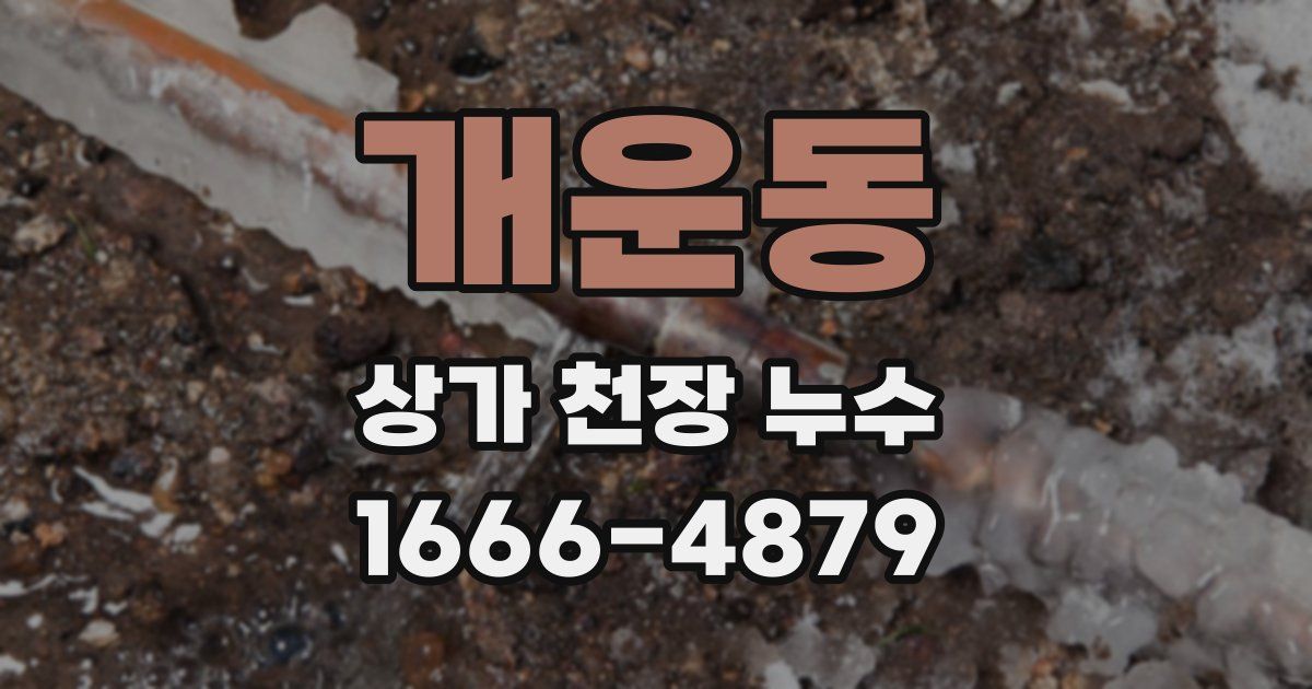 개운동 상가 천장 누수