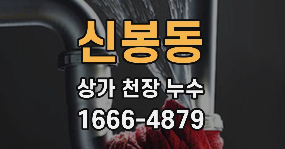신봉동 상가 천장 누수