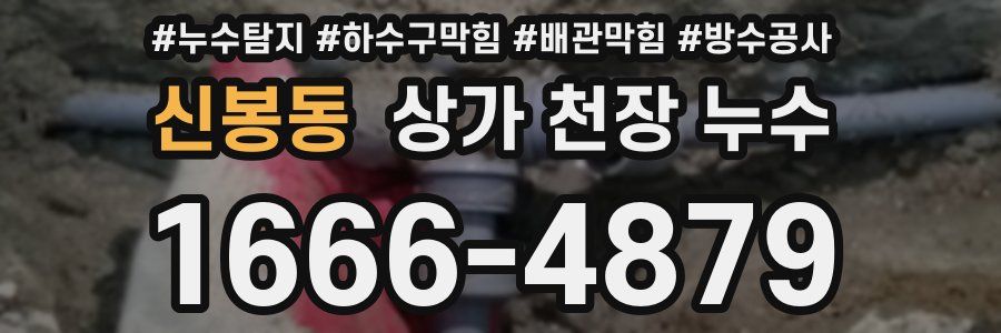 신봉동 상가 천장 누수