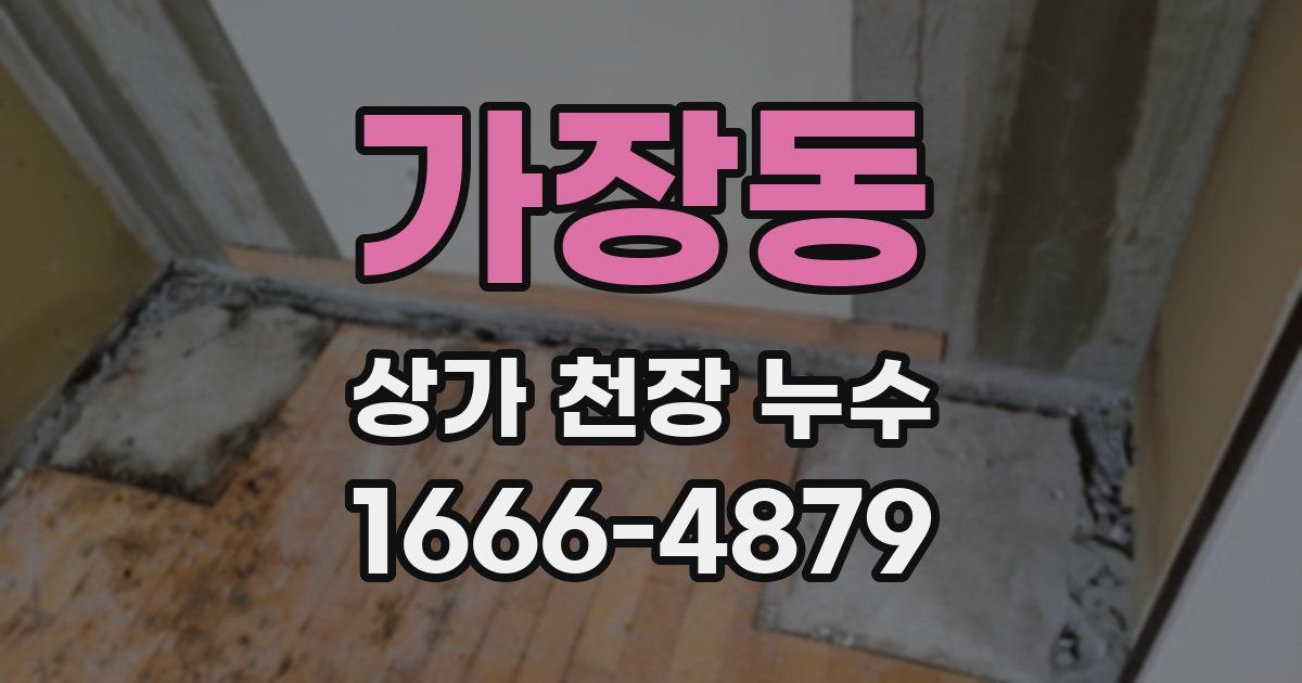가장동 상가 천장 누수