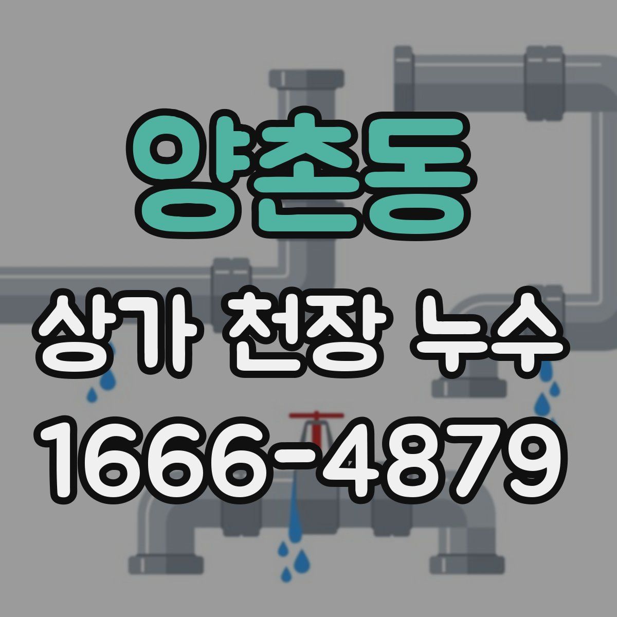 양촌동 상가 천장 누수