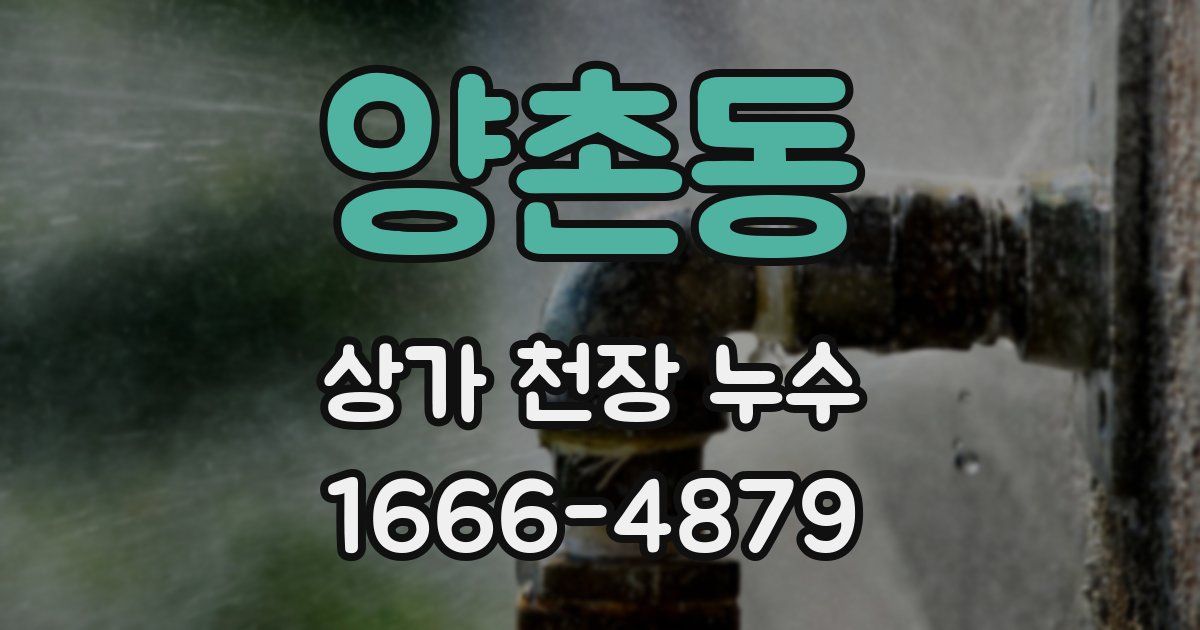 양촌동 상가 천장 누수