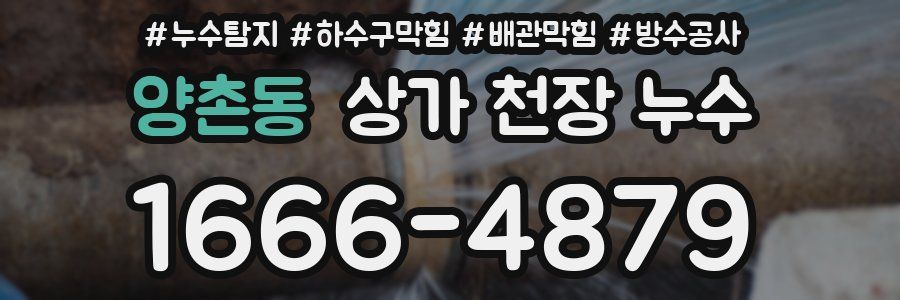 양촌동 상가 천장 누수