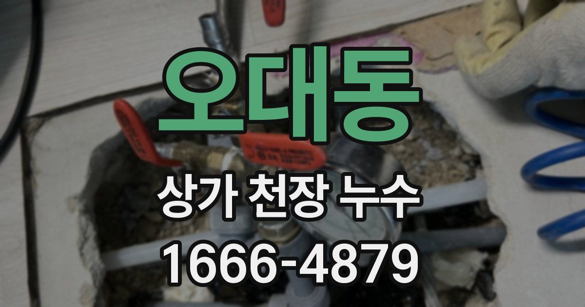 오대동 상가 천장 누수