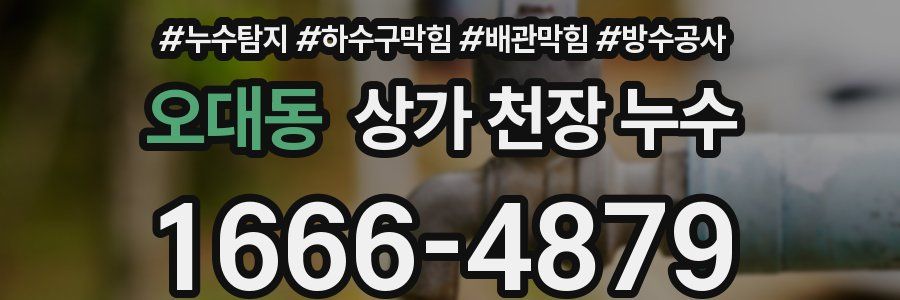 오대동 상가 천장 누수