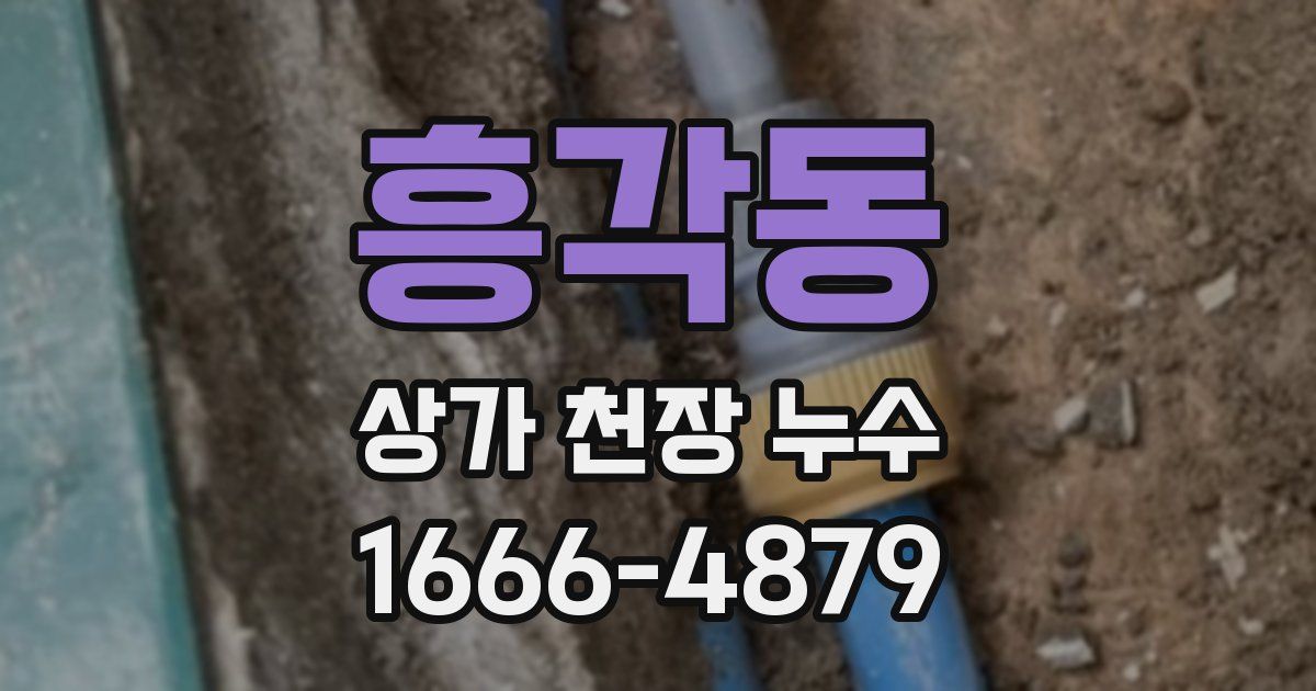 흥각동 상가 천장 누수