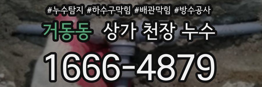 거동동 상가 천장 누수