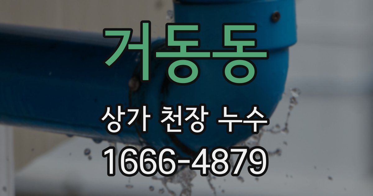 거동동 상가 천장 누수