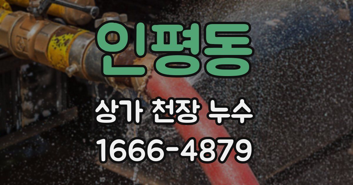 인평동 상가 천장 누수