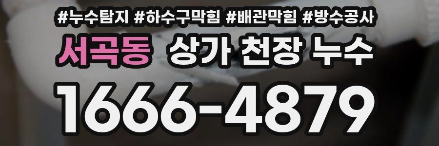 서곡동 상가 천장 누수