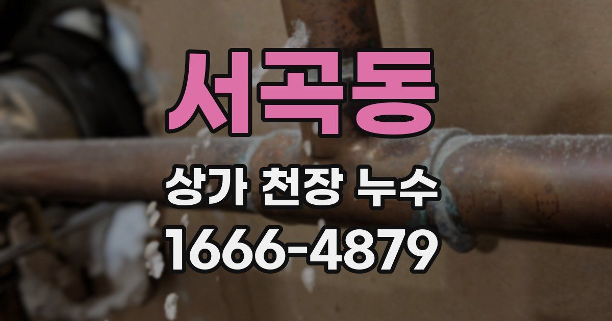 서곡동 상가 천장 누수