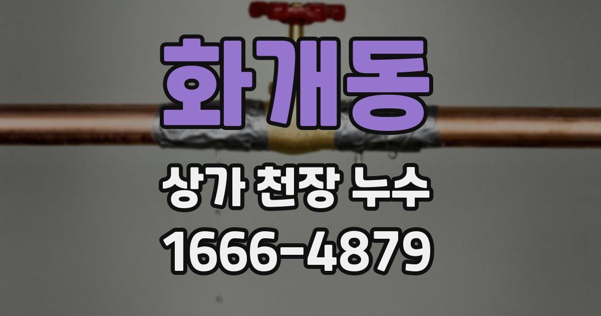 화개동 상가 천장 누수