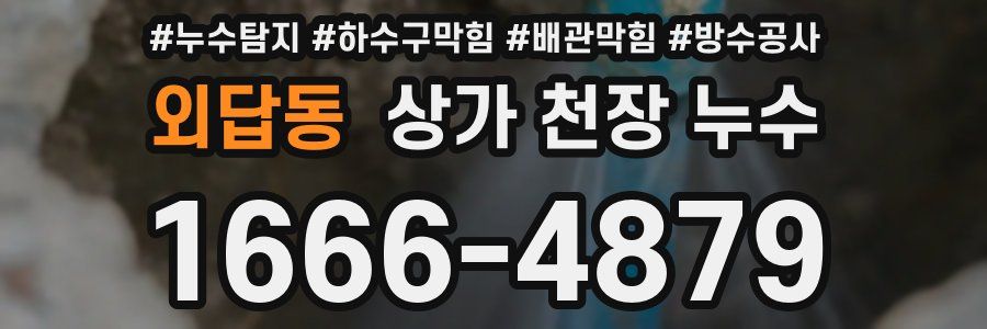 외답동 상가 천장 누수
