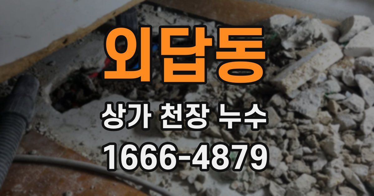 외답동 상가 천장 누수