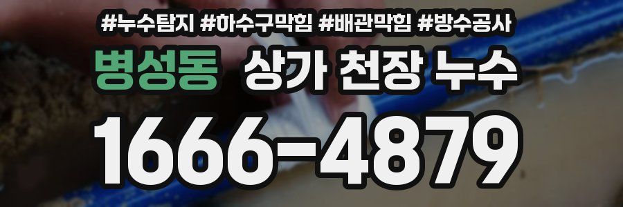 병성동 상가 천장 누수