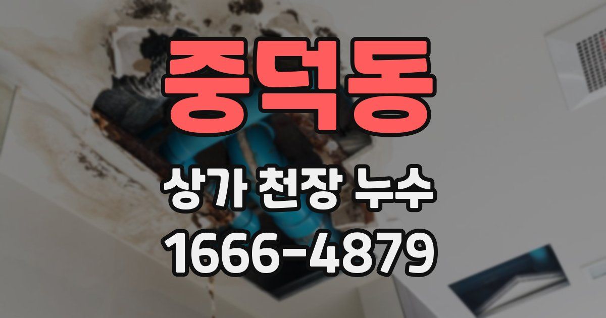 중덕동 상가 천장 누수
