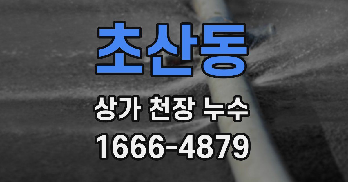초산동 상가 천장 누수