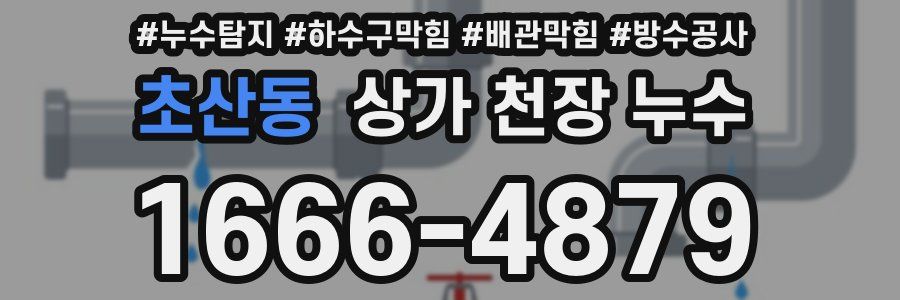 초산동 상가 천장 누수