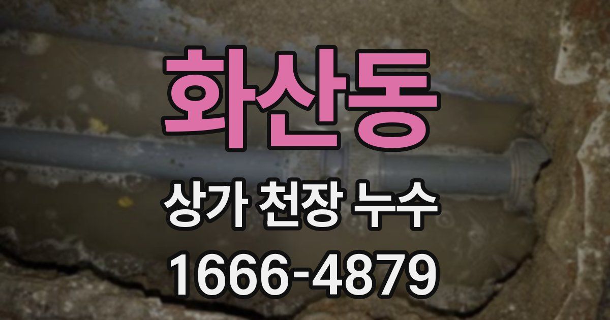 화산동 상가 천장 누수