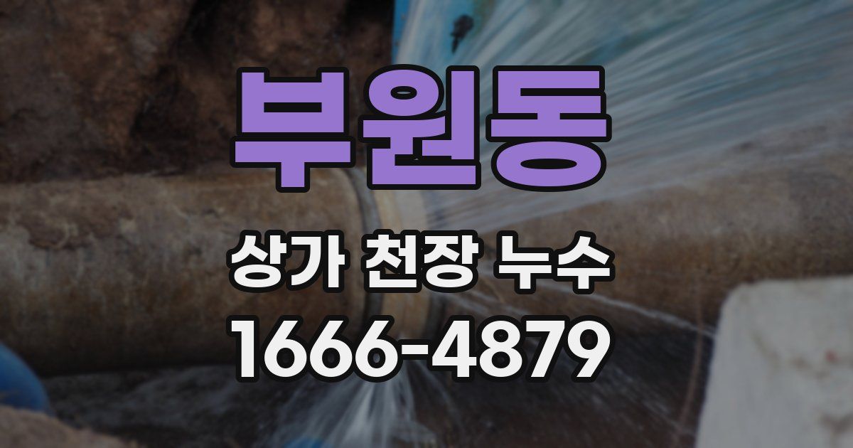 부원동 상가 천장 누수
