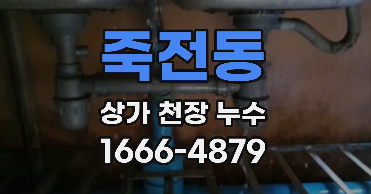 죽전동 상가 천장 누수