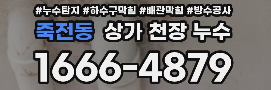 죽전동 상가 천장 누수