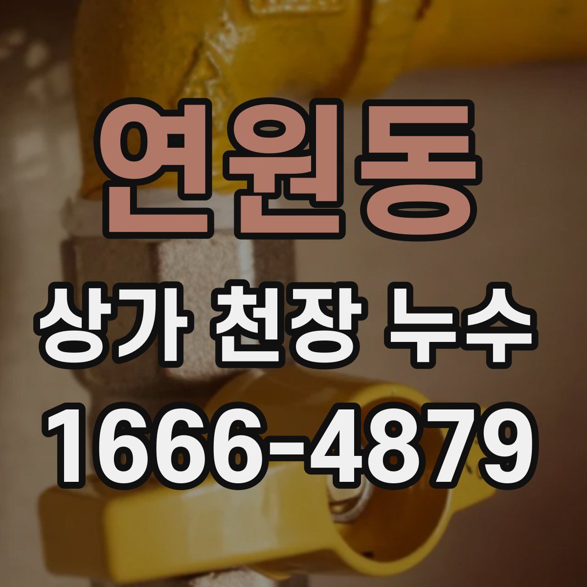 연원동 상가 천장 누수