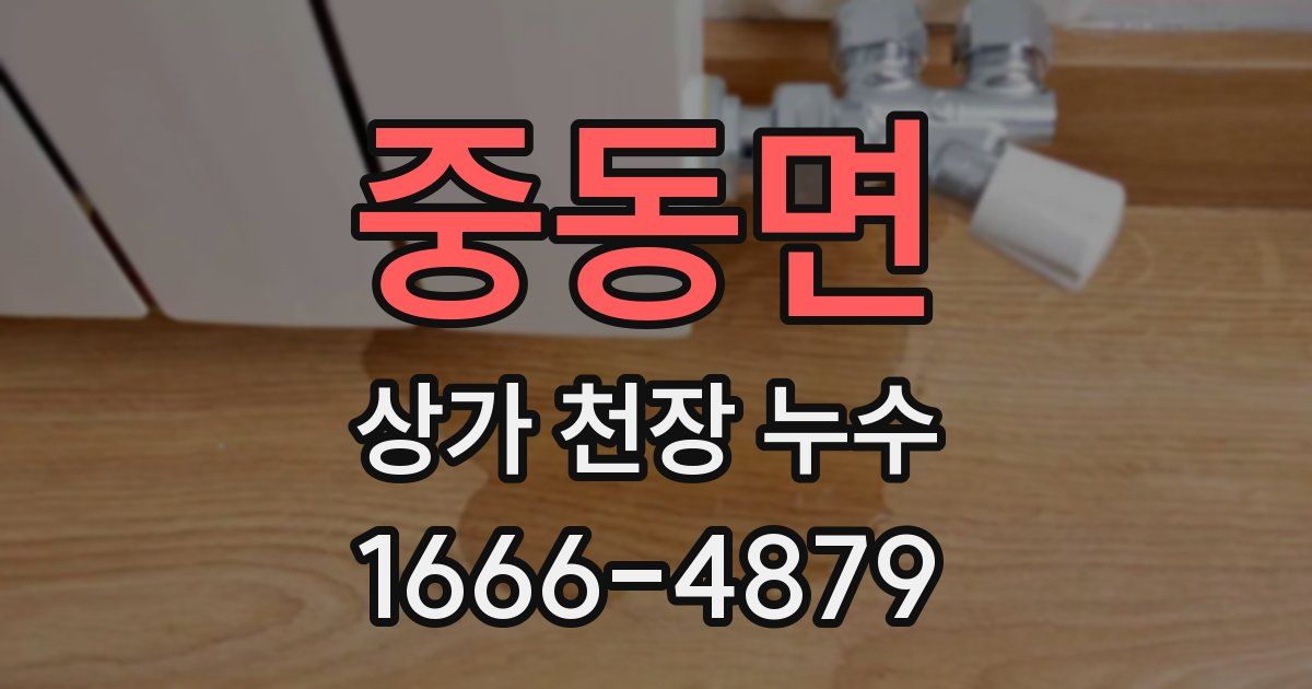 중동면 상가 천장 누수