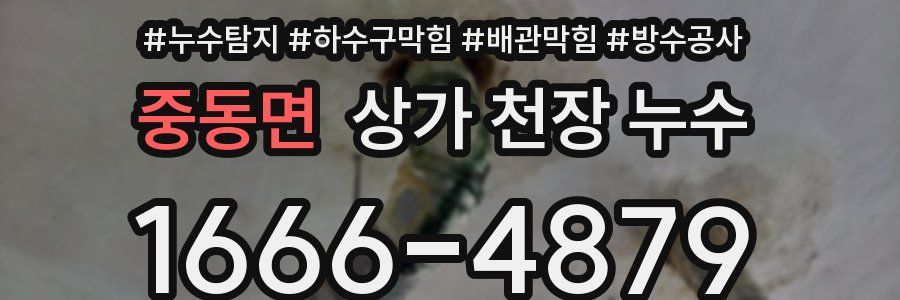 중동면 상가 천장 누수