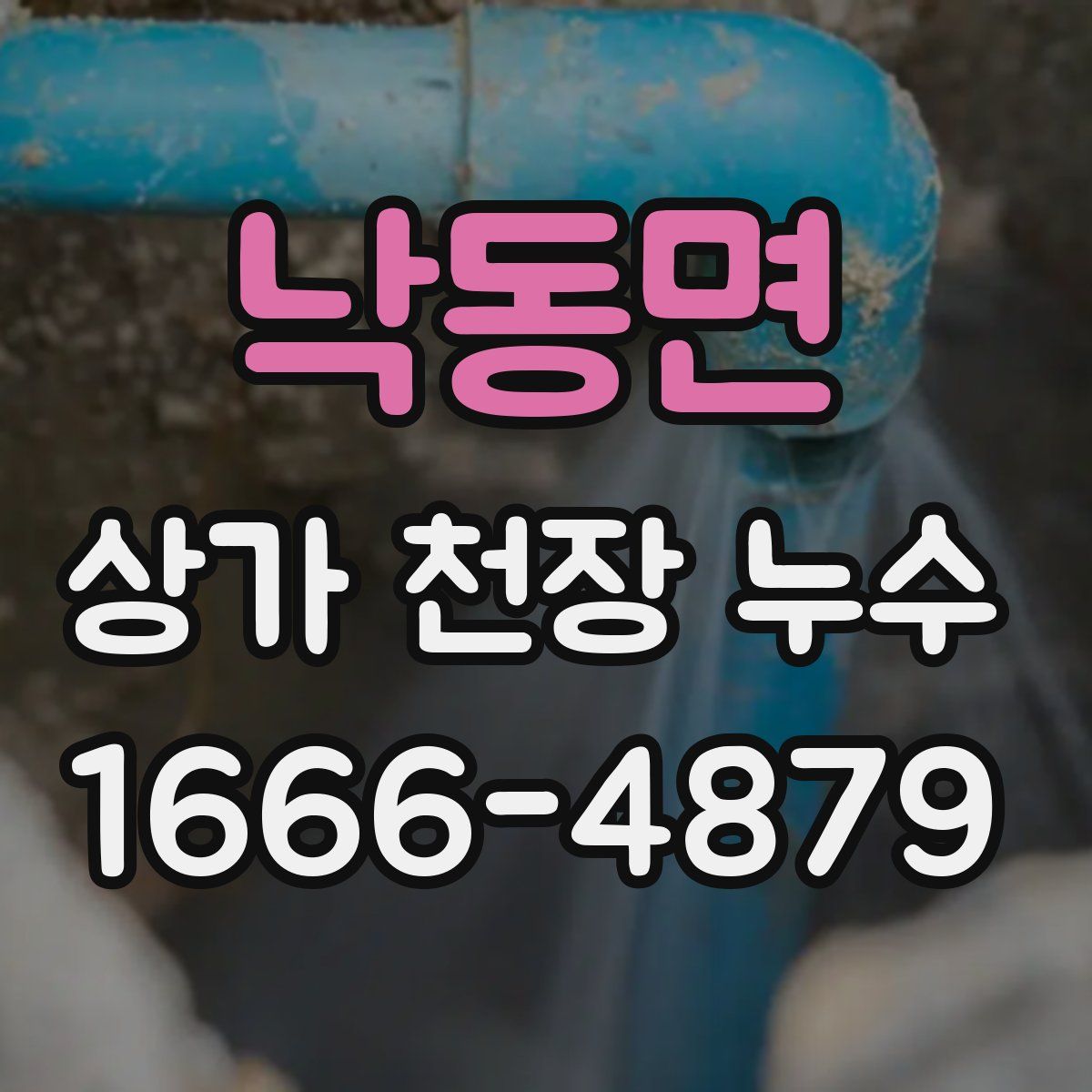 낙동면 상가 천장 누수