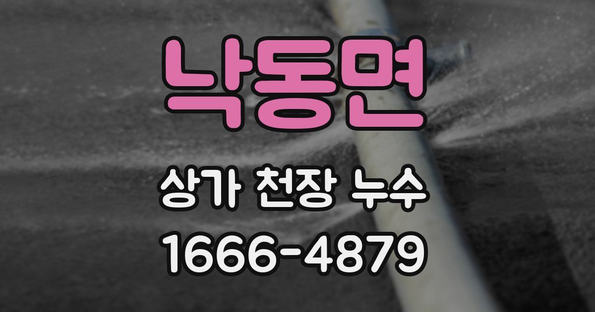 낙동면 상가 천장 누수