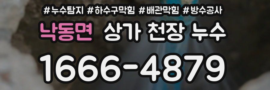 낙동면 상가 천장 누수