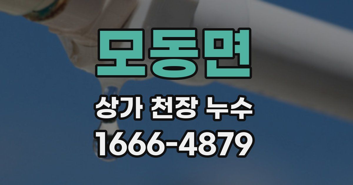 모동면 상가 천장 누수
