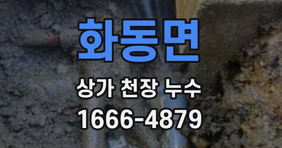 화동면 상가 천장 누수